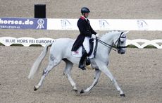 euros-2013-5364593.jpg