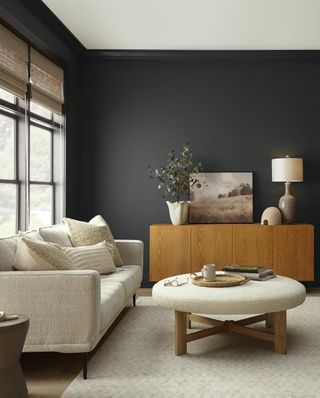 black painted living room