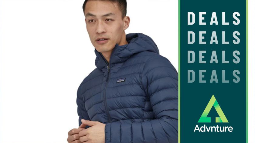 Patagonia Down Sweater deals image