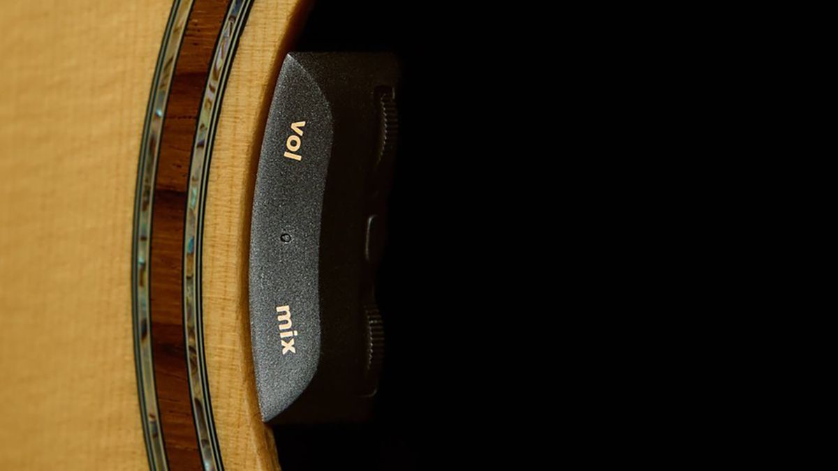 L.R. Baggs HiFi Duet
