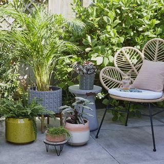 outdoor space with fruit and vegetable and chair