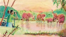 Rewild the World at Bedtime by Emily Hawkins, illustrated by Ella Beech &copy; Wide Eyed Editions, 2024