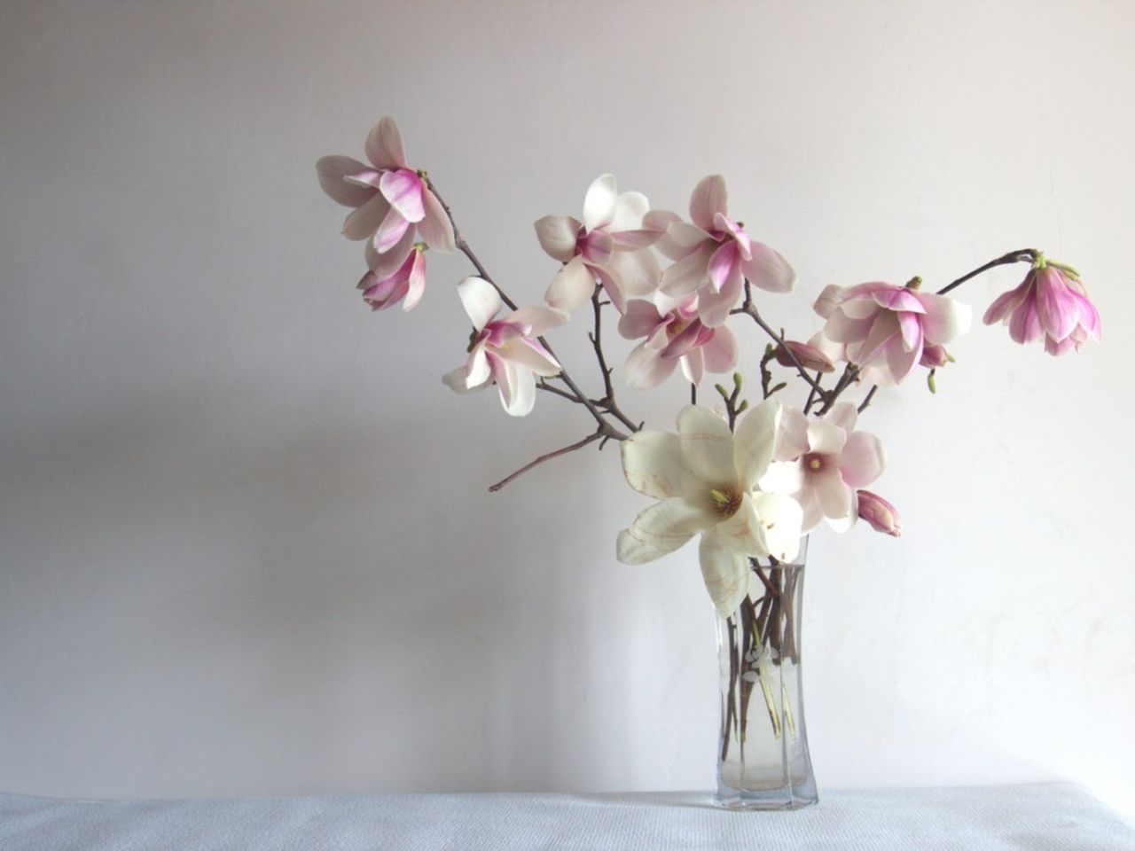 Indoor Flowering Branches