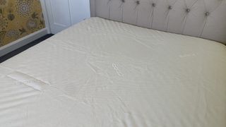 Coop Home Goods Ultra Tech Waterproof Mattress Protector review