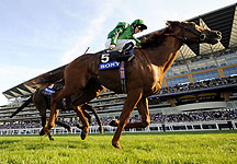 Ascot-competition.jpg