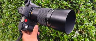 Leica APO-Macro-Elmarit-SL 100mm f/2.8 review &ndash; the first Leica L-mount macro lens looks great up close