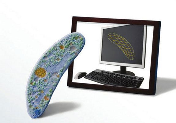 microbe and computer