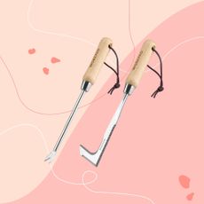 workpro weed removal took kit on graphic pink background