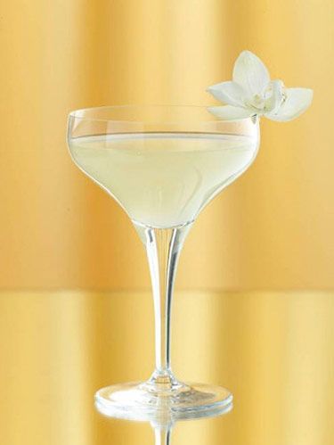 NAVAN Orchid Martini