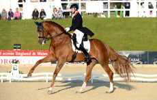 Michael EILBERG riding WOODLANDER FAROUCHE; winner of Dressage Competition at Bolesworth CSI **** International, at Bolesworth Castle, Tattenhall, near Chester on the 18th June 2015