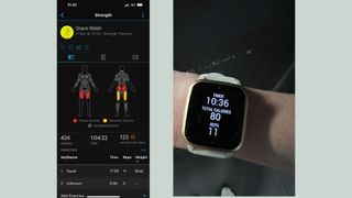 A layout of the Garmin Connect app showing muscles targeted during strength training workout and display on Garmin Venu Sq 2 watch