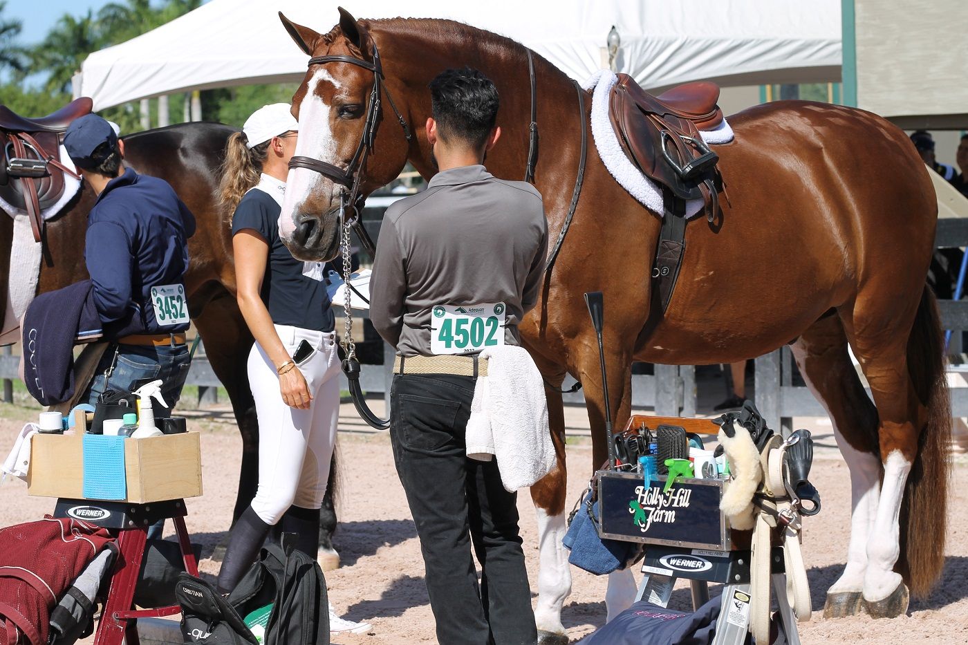 Winter Equestrian Festival provides grooms with a chance to show ...
