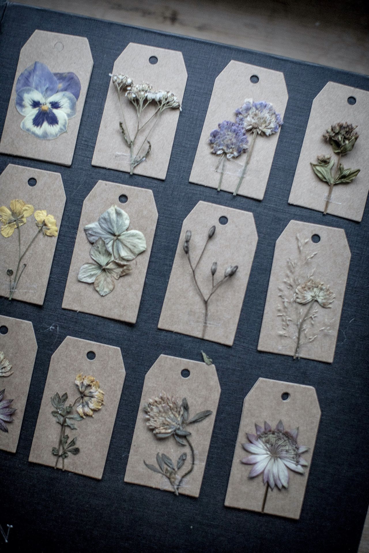 How to click flowers with their views in books and artwork