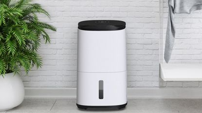 MeacoDry Arete One 20L Dehumidifier in front of a white stone wall with plants on one side and alundry on the other