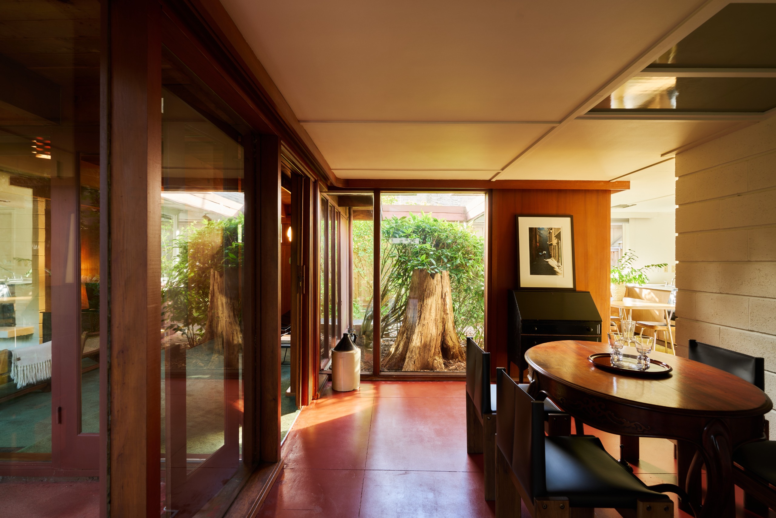 The house was originally built to accommodate this cedar tree