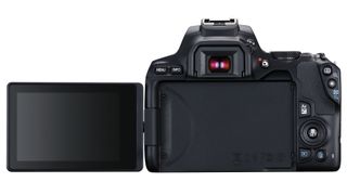 The vari-angle rear touchscreen is what sets the EOS 250D/Rebel SL3 apart from other lightweight entry-level DSLRs like the Nikon D3500.