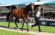 Kristina Cook riding STAR WITNESS during the Final Horse Inspection of the Land Rover Burghley Horse Trials in the grounds of Burghley House near Stamford in Lincolnshire in the UK between 29th August and 2nd September 2018