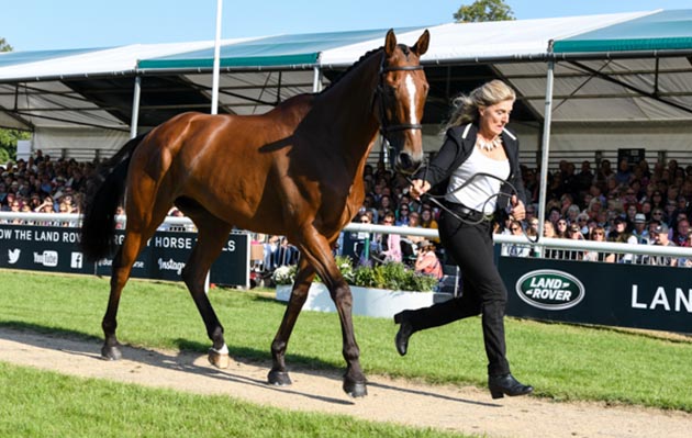 Kristina Cook riding STAR WITNESS during the Final Horse Inspection of the Land Rover Burghley Horse Trials in the grounds of Burghley House near Stamford in Lincolnshire in the UK between 29th August and 2nd September 2018