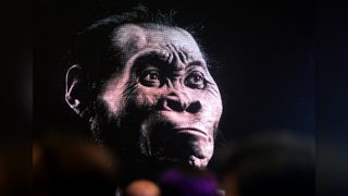 Virtual face of Homo naledi