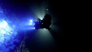 Researcher David Gruber searching for new biofluorescent organisms off Hele Island, Solomon Islands, with a 5K EPIC camera system and blue lights.