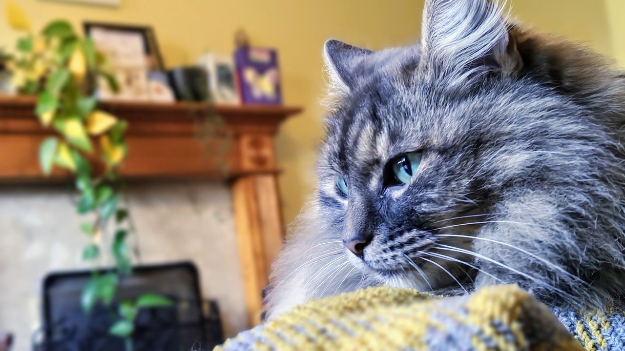 A photo taken with a Motorola Edge 70 camera