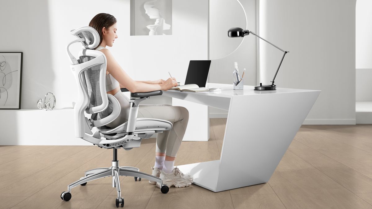 The Sihoo Doro C300 Pro Ergonomic Desk Chair