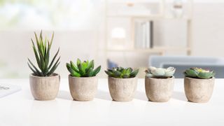 MoonLa Artificial Succulent Plants