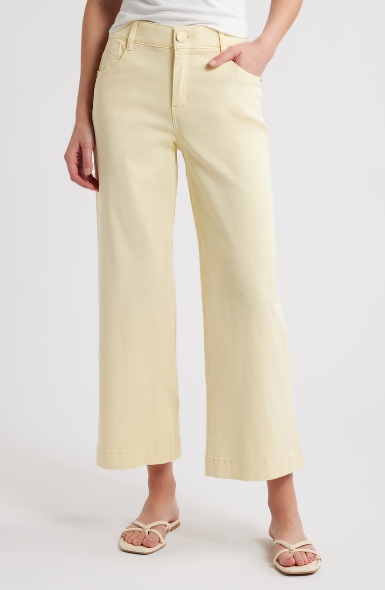 Sam High Waist Ankle Wide Leg Twill Pants