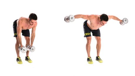 Dumbbell Reverse Fly Dumbbell Reverse Fly