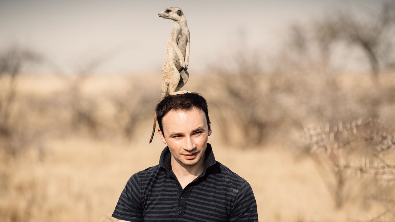 Meerkats at Jack's Camp and San Camp