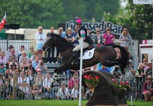 116QUIXOTIC05.jpg