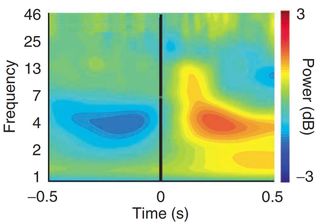 Low-frequency brainwaves in the human medial frontal cortex change from low-power (blue) to high-power (red-orange) after the recognition of a mistake.