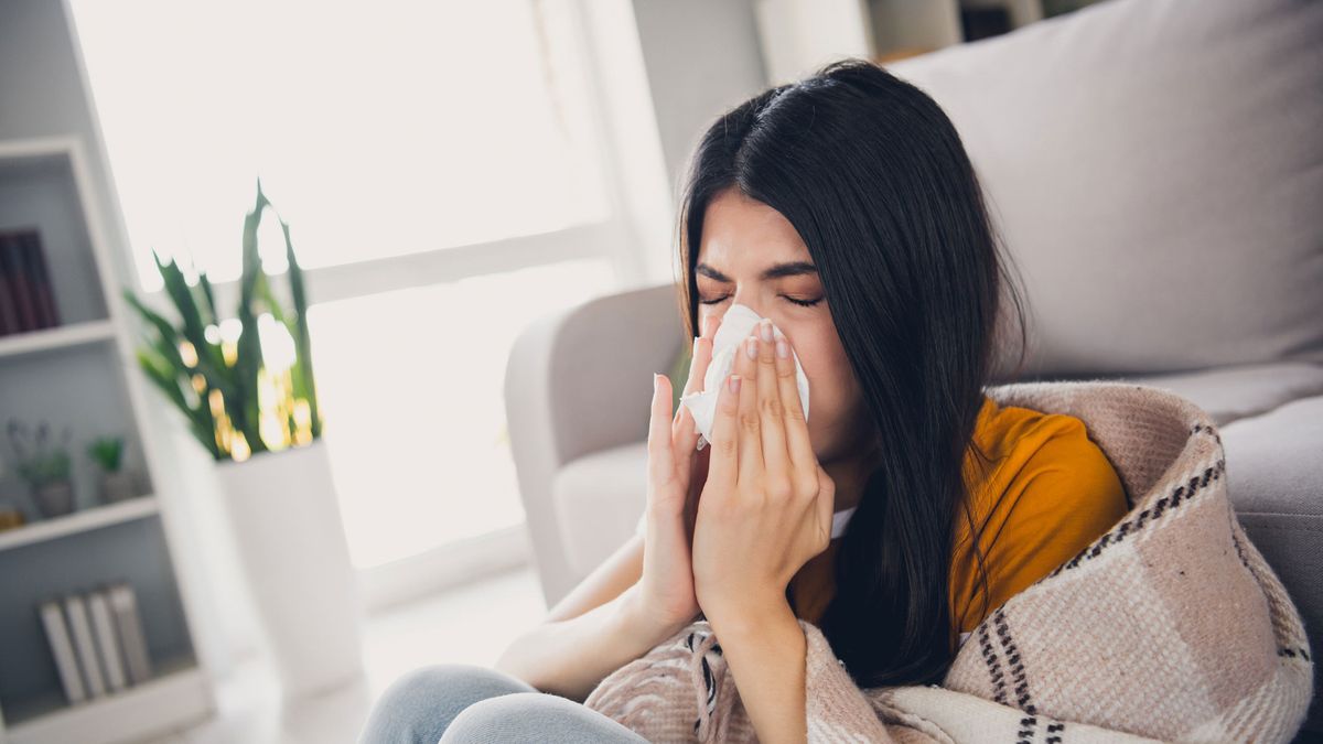 Do air purifiers help with allergies? Image shows a woman holding tissues to her nose