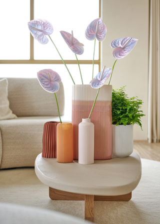 A group of vases on a coffee table with stems of anthuriums