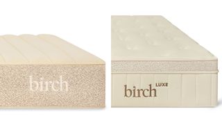 Birch natural mattress and Birch Luxe