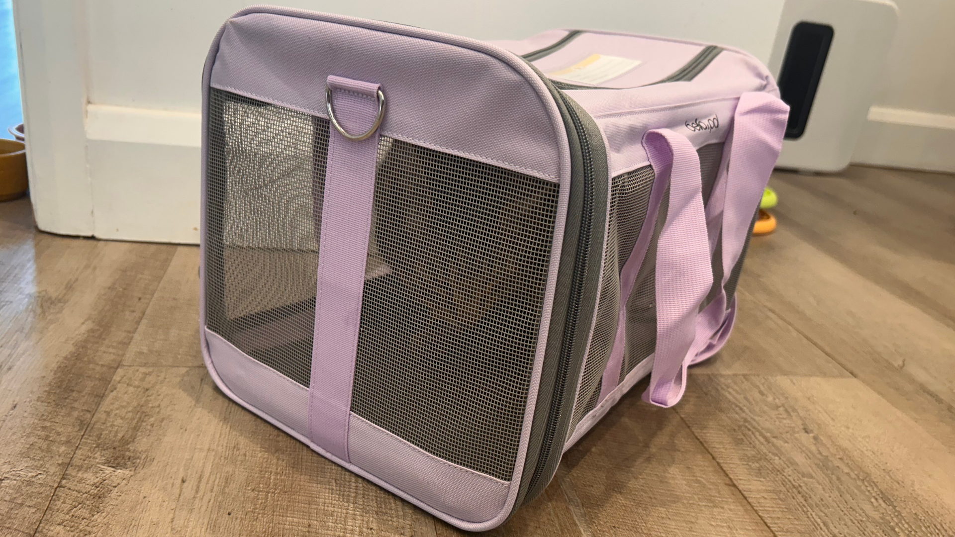 Chilli lying down in the Bella and Pal carrier, one of the best cat carriers