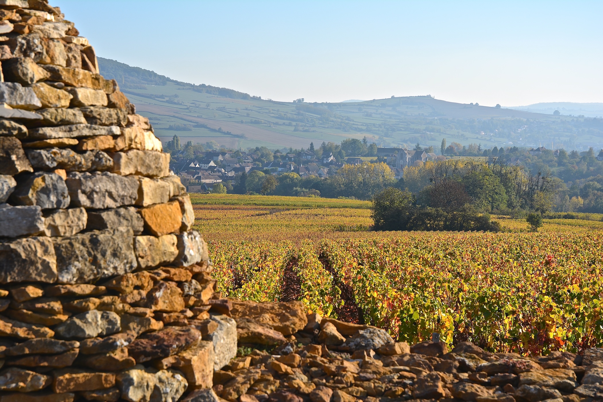 Maranges vineyards in autumn