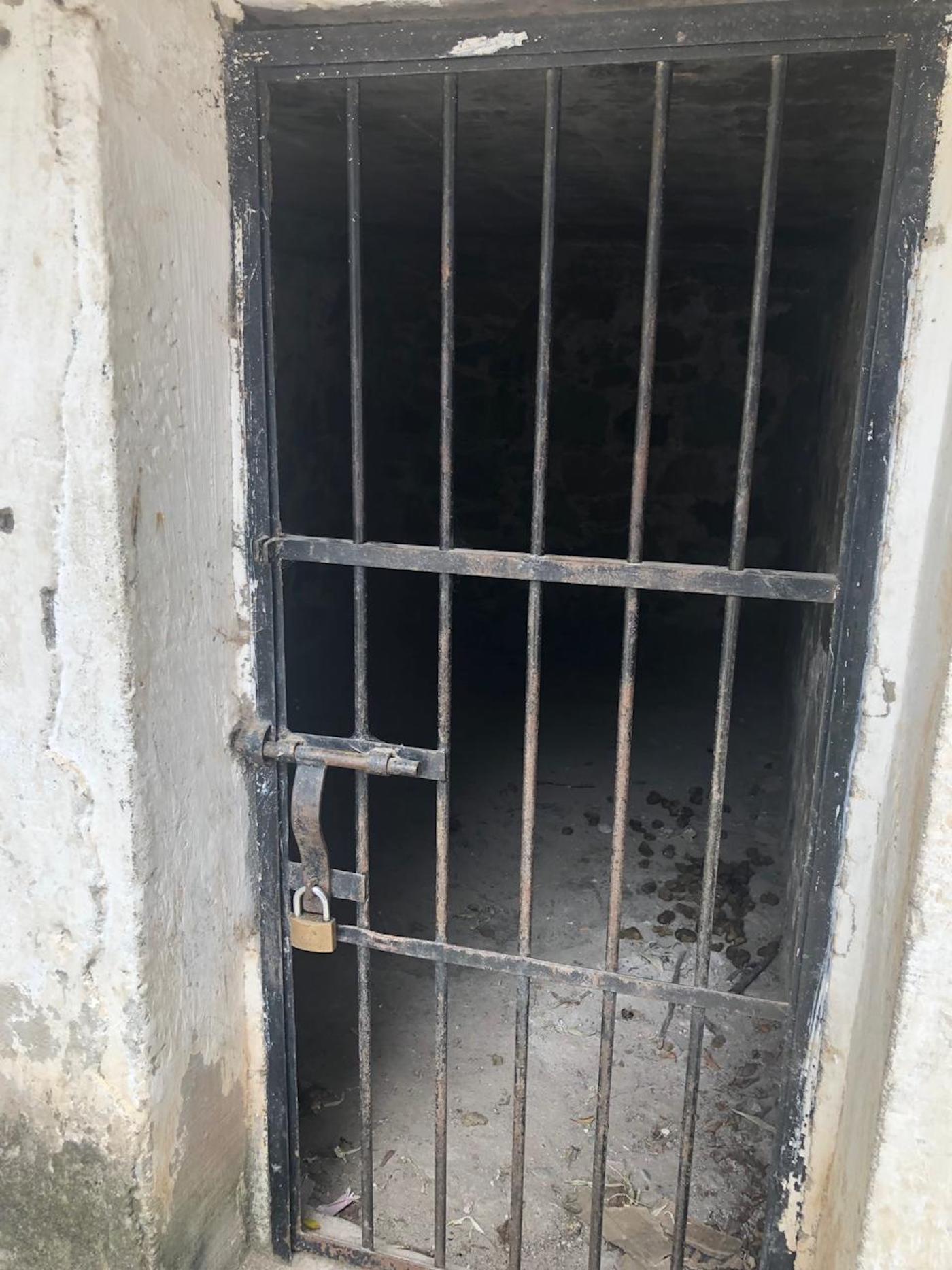 The jail cell - Credit The Donkey Sanctuary