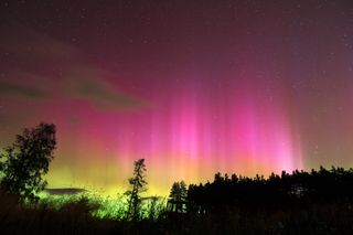 northern lights appears as vibrant pink and yellow orange curtains filling the sky.