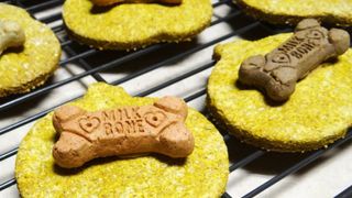 Halloween dog treats with pumpkin and peanut butter