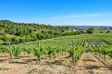 Quinta da Fonte Souto