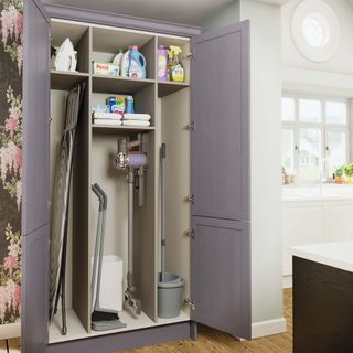 kitchen with purple cupboard