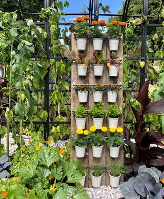 vertical planters at Lucy Hutchings' allotment at hampton court garden festival 2021