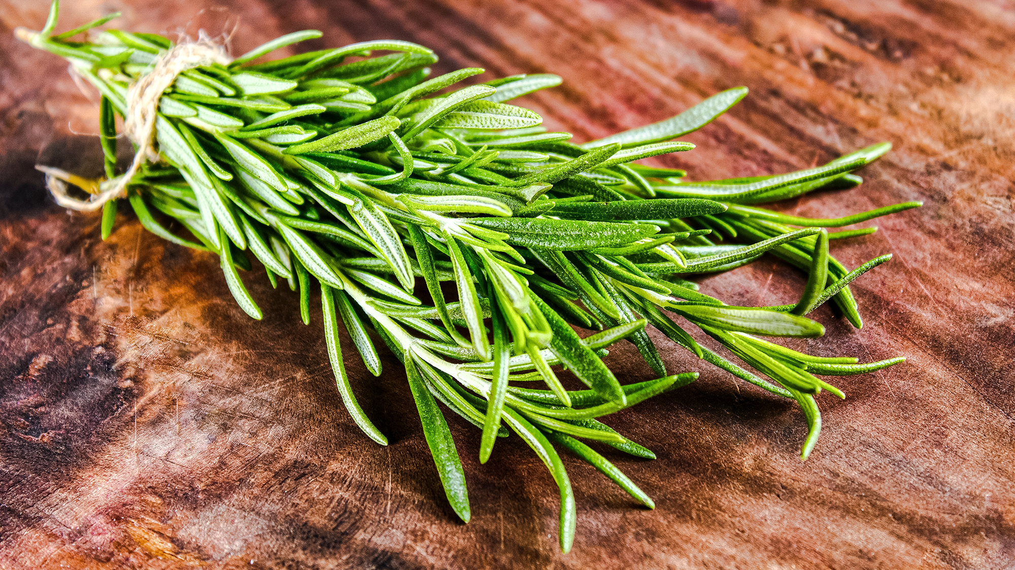 Sprig of rosemary
