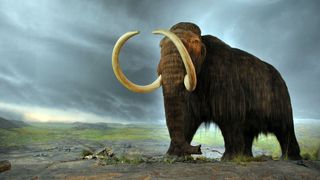 Et maleri av en mammut stående i et steppelandskap