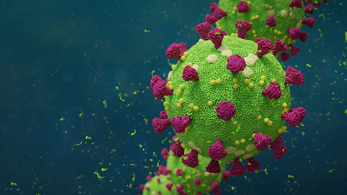 A 3D rendering of the novel coronavirus, which causes the disease COVID-19.