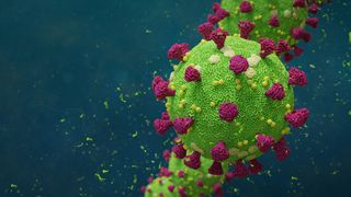 A 3D rendering of the novel coronavirus, which causes the disease COVID-19.