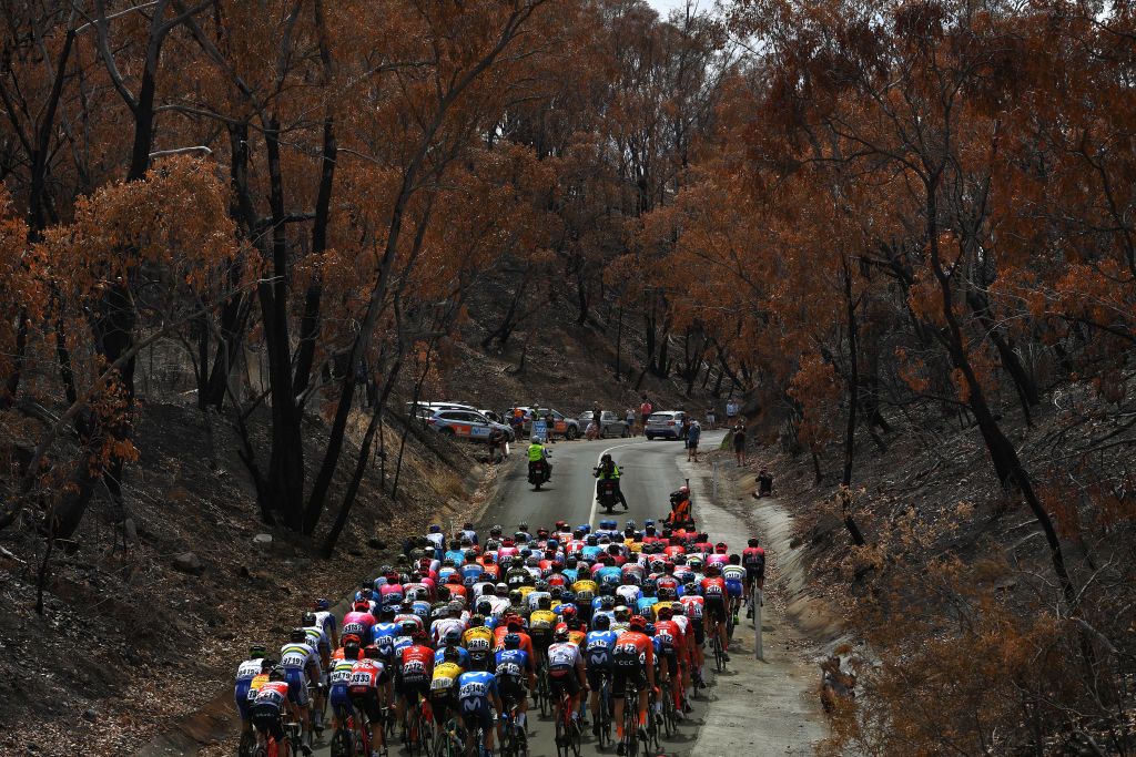 The 2020 Tour Down Under peloton
