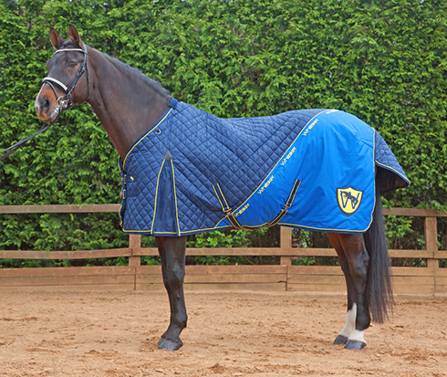 R037 300g Stable Rug