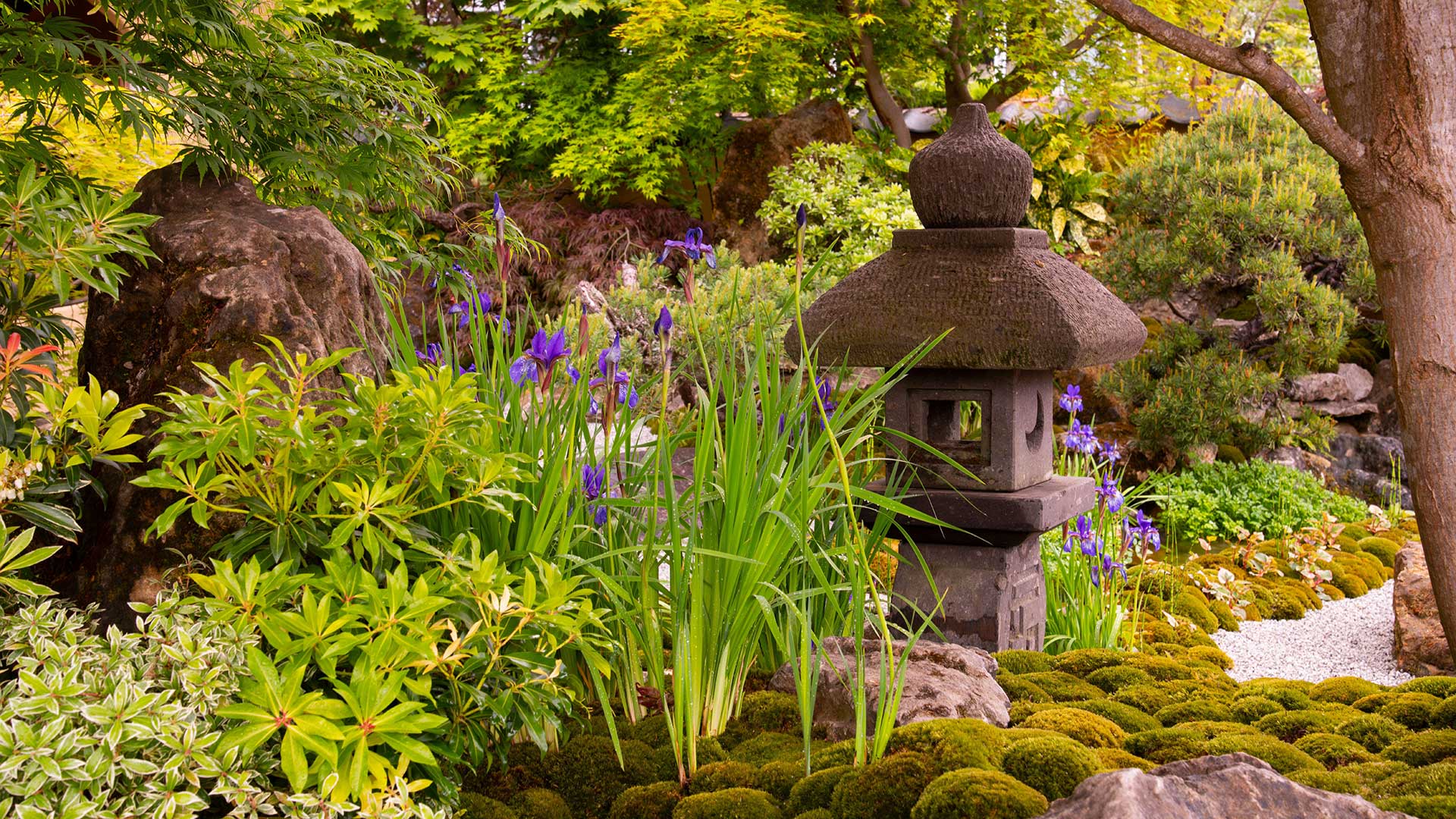 The Cha no niwa - Japanese Tea Garden designed by Kazuyuki Ishihara